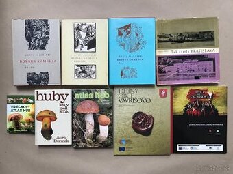 Božská komédia, Tak rástla Bratislava, Dejiny Slovenska