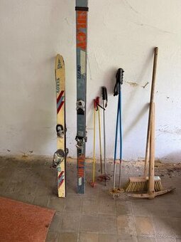 Predám starožitné lyže cena za všetko