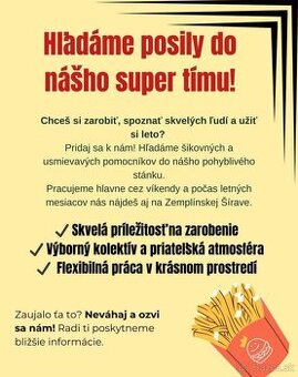 Brigada zemplinska širava, michalovce aj ZŤP
