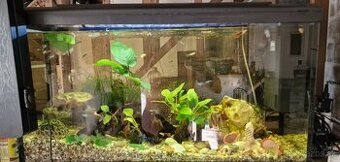 Predam akvarium