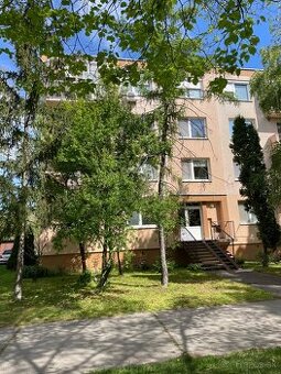 Prenajom 1 izboveho bytu v Šamoríne