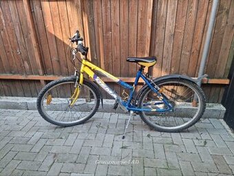 Dámsky bicykel Dema