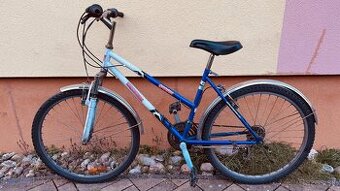 Bicykel Swiss Cruise