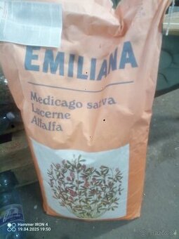 Lucerna lucerka
