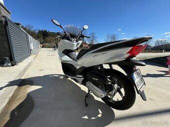Honda PCX 123