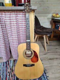 Gitara Zn Cord
