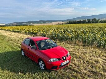 Seat Ibiza 6l