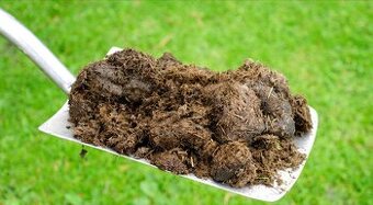 Konský hnoj-zadarmo