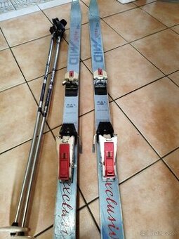 Lyže + palice