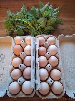 domáce vajíčka
