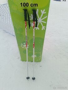 Lyžiarske palice 68 cm, 90 cm, 95 cm a 100 cm