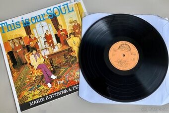LP The Flamingo Group - This Is Our Soul