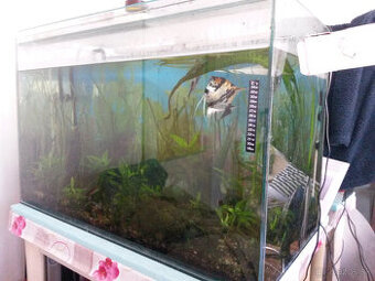 Predam akvarium s externym filtrom a okysličovačom - 1