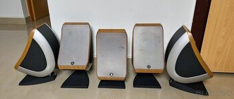 Focal Sib