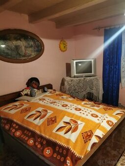 Predaj 3 izbového domu v obci Tekovské Lužany