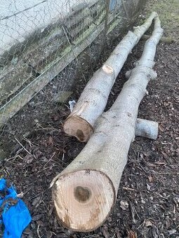 Orechové drevo na predaj