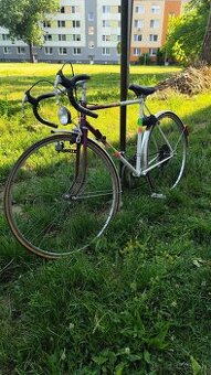 Bicykel eska premier (favorit)