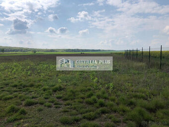 Predám pozemky len 12 km od  Nitry