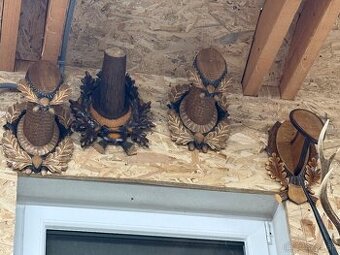 Trofej,parohy,parozie,muflon