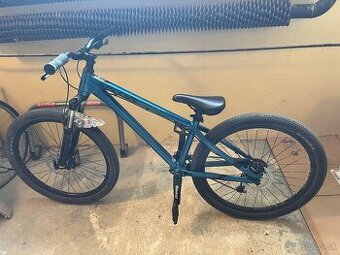 Kellys whip 50 2021