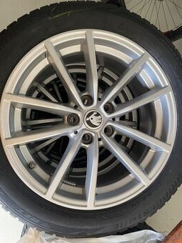 Elektrony skoda vw seat 225/50r17