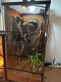 Terárium + Felzumy Madagaskarské