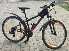 Bicykel Alpina Eco M20 XXS - 1