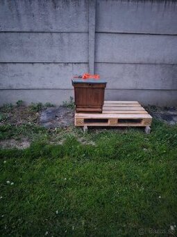 Včeli