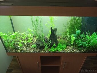 Predám akvárium - 1