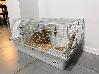 Predám zajka s kompletnou výbavou