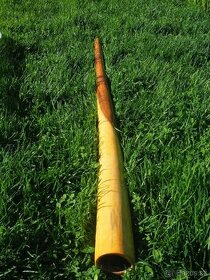 ++NOVE Didgeridoo Eukalyptus, hluboký ton C++