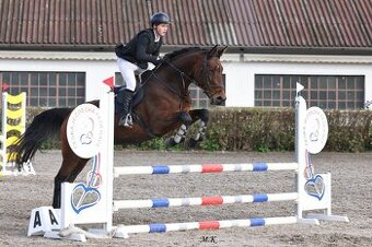 Kobylka na rekreaci / rodinný mazel / sport