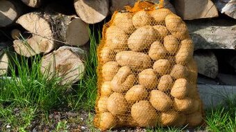 Predám domáce zemiaky