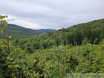 NOVÁ CENA  Rozsiahle lesné pozemky v Podpoľaní