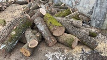 Palivové drevo metrovica dub buk cer