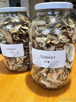 Predám sušené hríby - dubáky