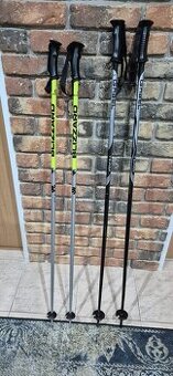 Lyžiarske palice