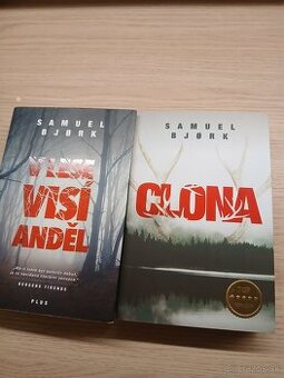 Samuel Bjork: Clona, V lese visí anjel