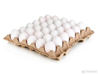 Násadové vajička vlaška jarabičia