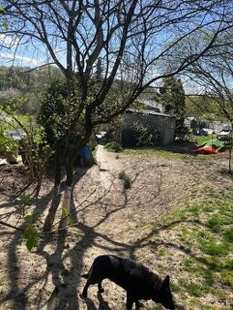 Stavebny Pozemok, Chata, Zahrada - 1