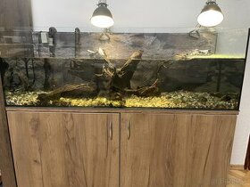 Vodné korytnačky s akváriom a filtrom - 1