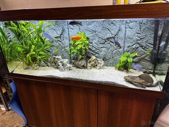 Juwel Akvarium 450L