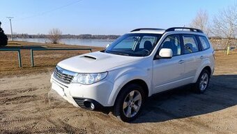 Predam Subaru Forester