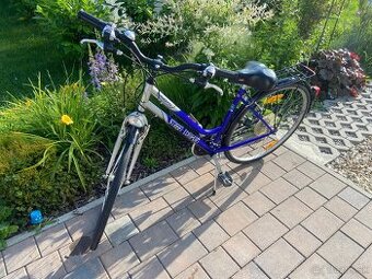 Bicykel Dinotti