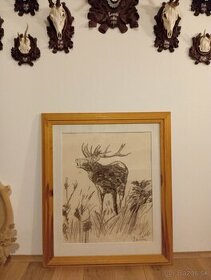 Obraz jelena, trofej, paroží