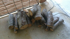 palivové drevo višňa 19kg