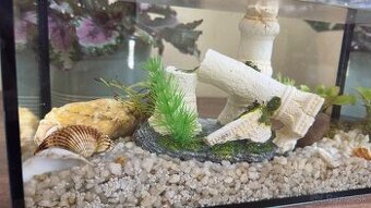predame akvarium