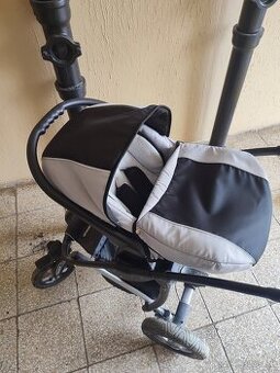 Camarelo malaga