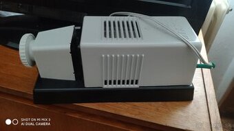 D1