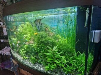 Prodej akvária Bratislava